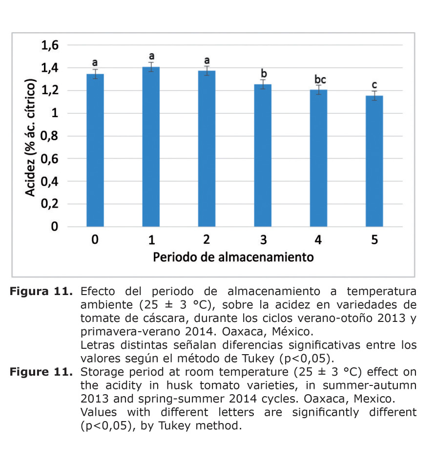 Figura%2011.jpg