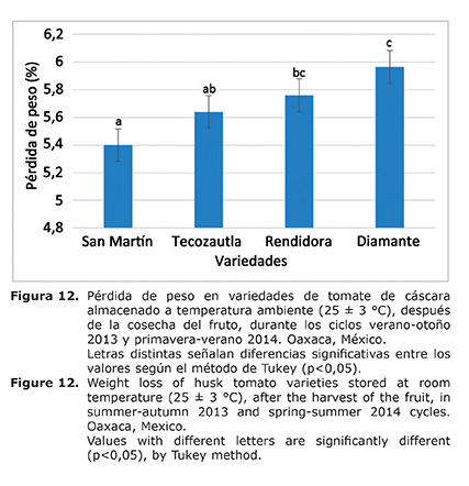 Figura%2012.jpg