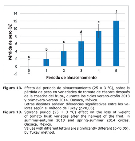 Figura%2013.jpg