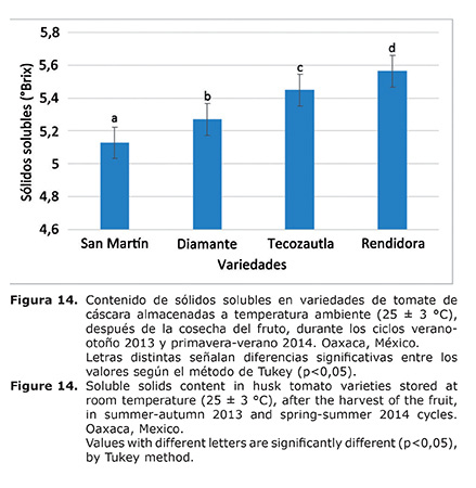 Figura%2014.jpg