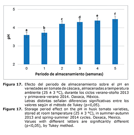 Figura%2017.jpg