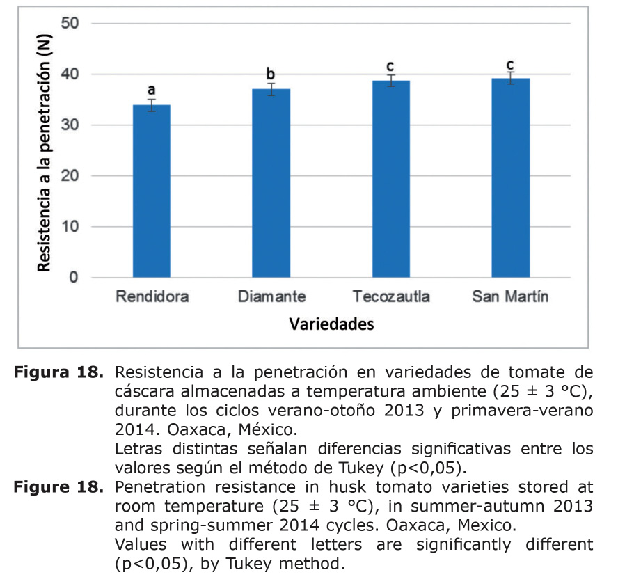 Figura%2018.jpg