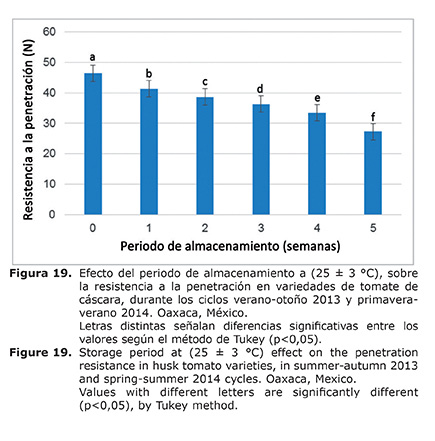 Figura%2019.jpg