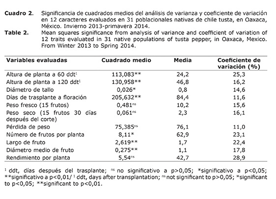 Cuadro%202.jpg