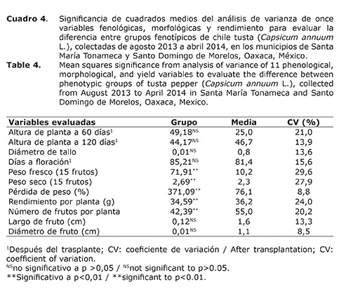 Cuadro%204.jpg