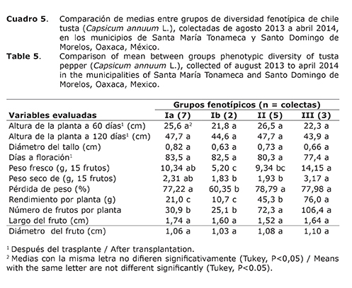 Cuadro%205.jpg