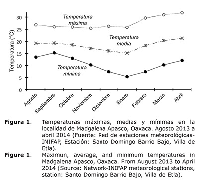 Figura%201.jpg