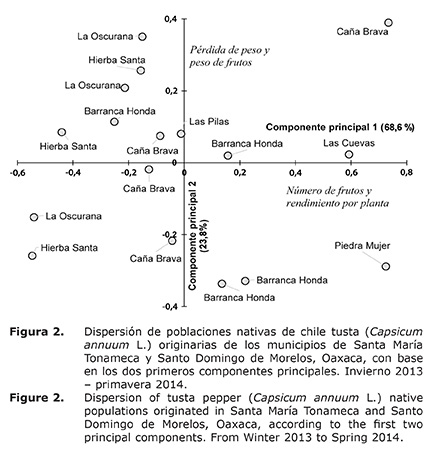 Figura%202.jpg