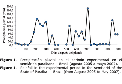 Figura%201.jpg