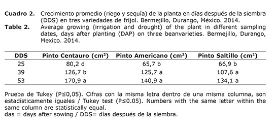 Cuadro%202.jpg