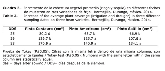 Cuadro%203.jpg