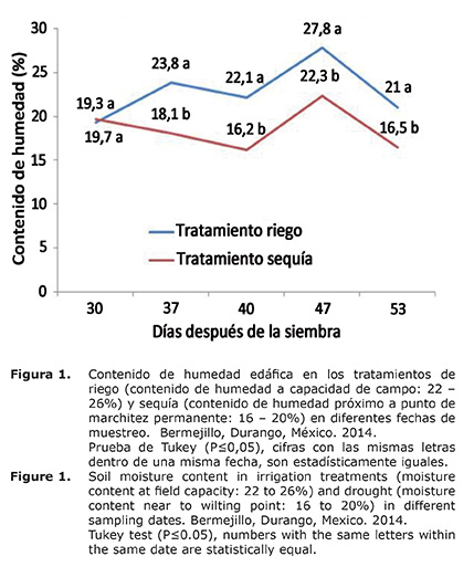 Figura%201.jpg