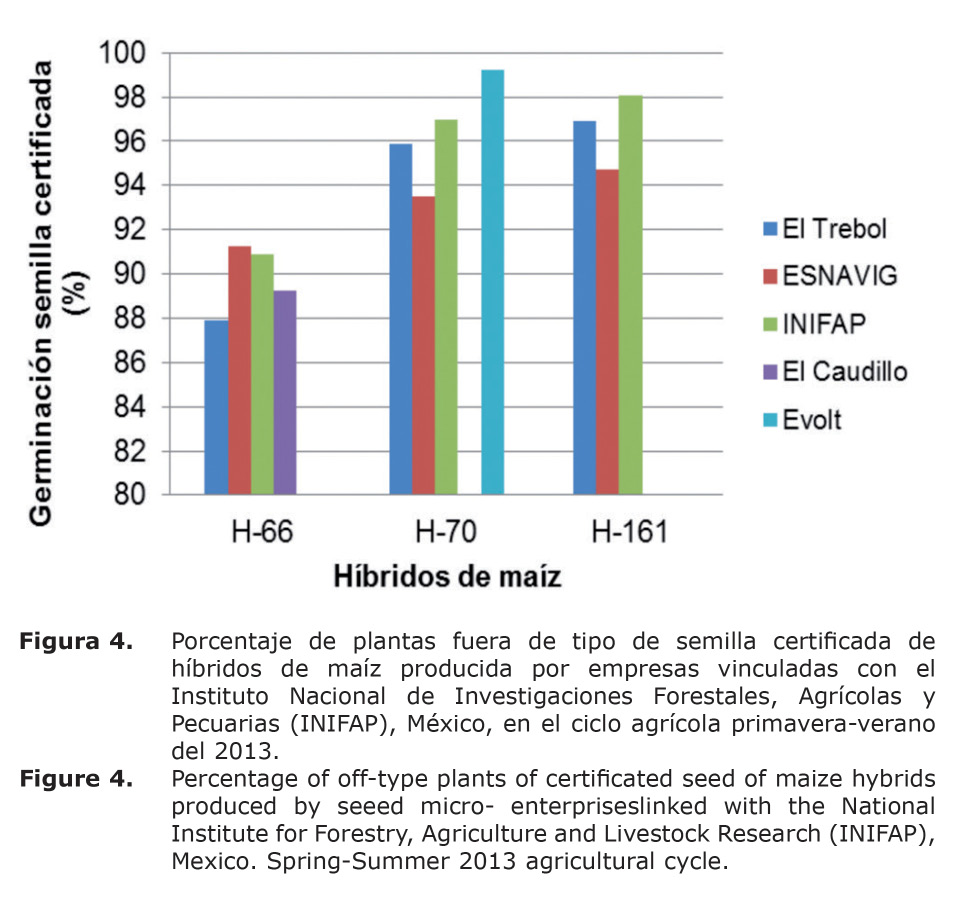 Figura%204.jpg