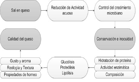 Funciones y efectos de la sal en el queso. Colombia. 2015.
