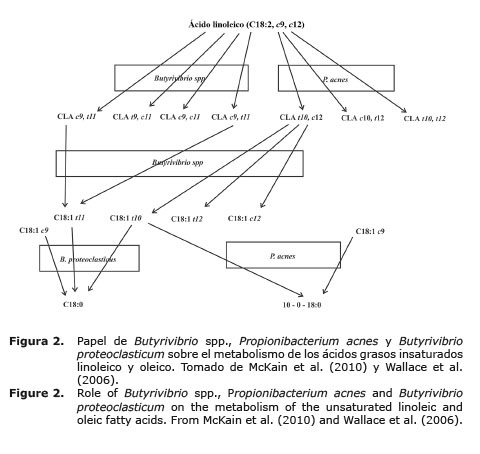 Figura%202.jpg