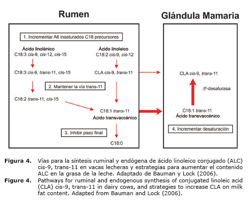 Figura%204.jpg