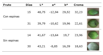 Promedio de las mediciones de las variables de color externo L*,a*,b* y croma, escala CIELAB, en frutos de tacaco  ( Sechium tacaco  (Pittier) C. Jeffrey), con espinas procedentes de El Yas de Paraíso, cosechados entre julio y agosto de 2014, y sin espinas procedentes de la Flor de Paraíso, cosechados entre enero y febrero de 2015. Cartago, Costa Rica.