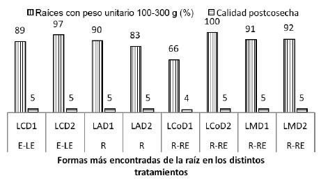 Efecto de sistemas de labranza y densidades de siembra de batata sobre el porcentaje de raíces tuberosas con pesos unitarios de preferencia y niveles de calidad postcosecha. Venezuela. 2014.