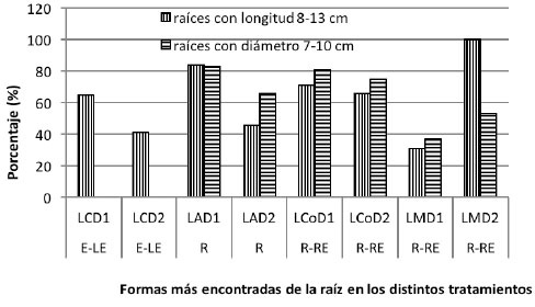 Efecto de sistemas de labranza y densidades de siembra de batata sobre el porcentaje de raíces tuberosas, con tamaños de preferencia. Venezuela, 2014.