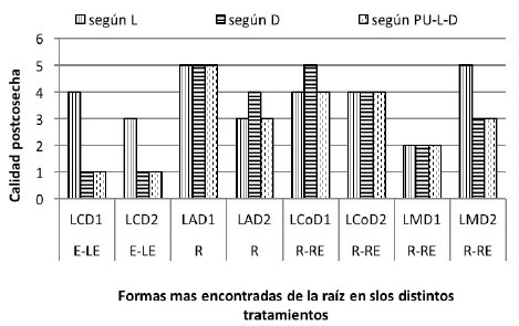 Efecto de sistemas de labranza y densidades de siembra de  batata sobre el nivel de calidad postcosecha de raíces tuberosas.Venezuela. 2014.
			