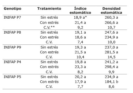 Índice y densidad estomática en hojas de plantas de cinco genotipos de  C. canephora  sometidos a dos condiciones hídricas (sin estrés y con estrés hídrico). Chiapas, México. 2013-2014.