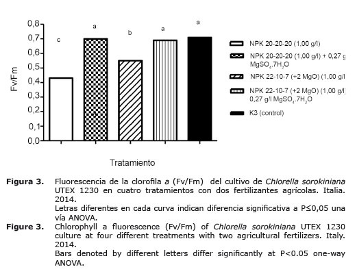 Figura%203.jpg