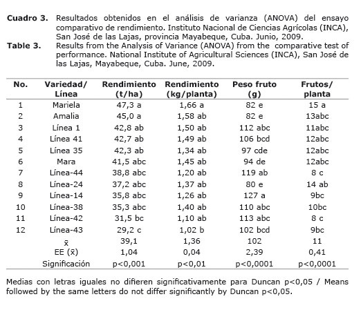 Cuadro%203.jpg