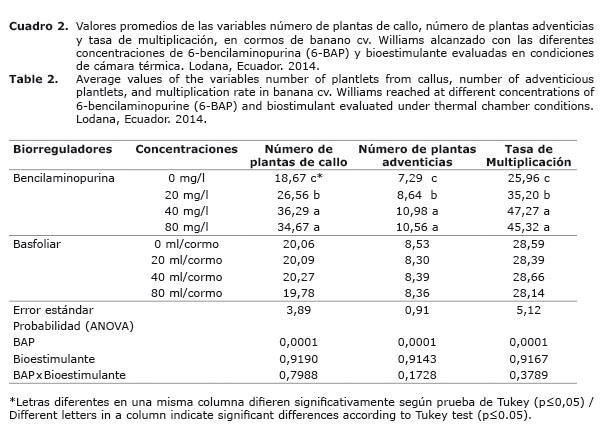 Cuadro%202.jpg