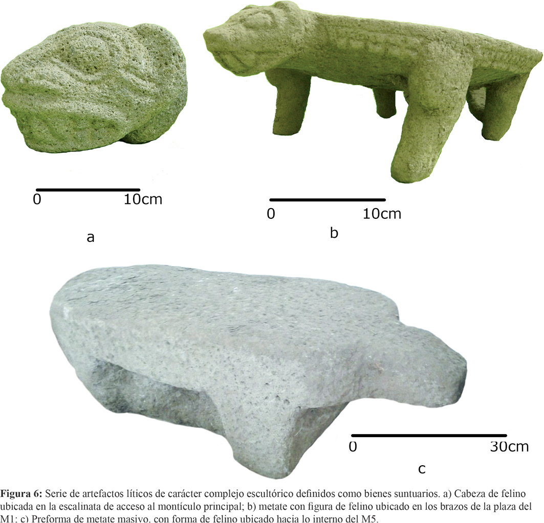 FIG6.jpg