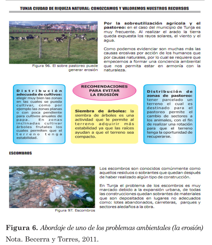 Fig%206%20%20Abordaje%20de%20uno%20de%20los%20problemas%20ambientales.jpg
