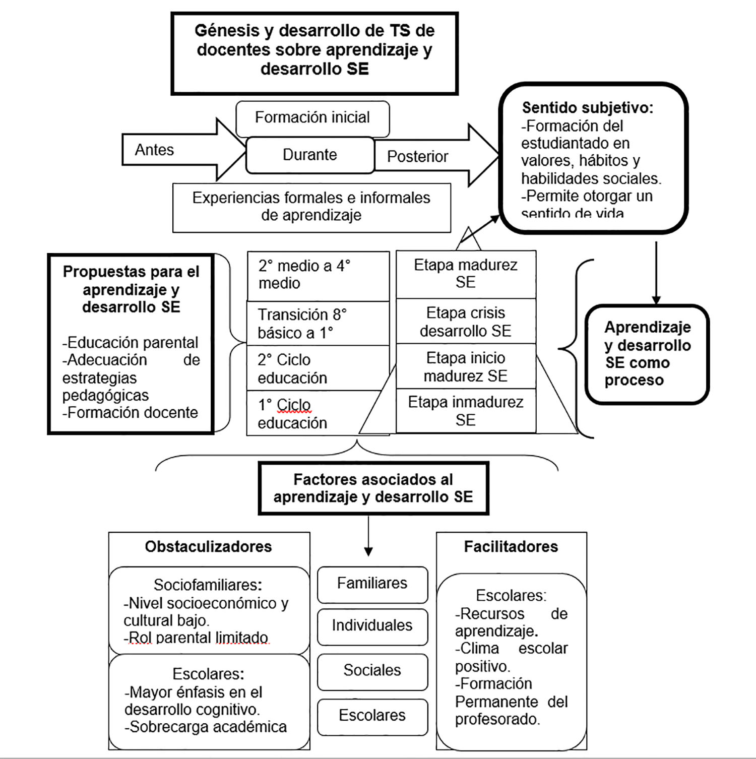 Codificación selectiva. Modelo comprensivo
del aprendizaje y desarrollo socioemocional del estudiantado. SE=
socioemocional; TS= teoría subjetiva.