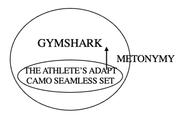 Representation of the metonymic mapping providing the target domain of the metaphorical chain in advert 8: THE ATHLETE’S ADAPT CAMO SEAMLESS SET FOR GYMSHARK