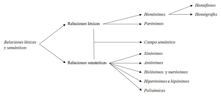 Relaciones léxicas y semánticas