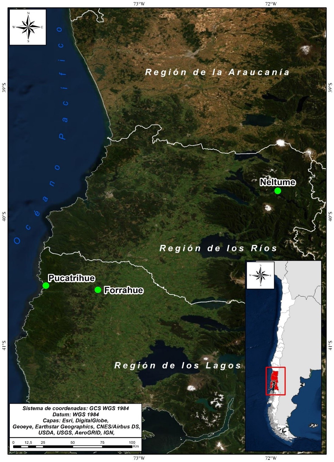 Figura 1