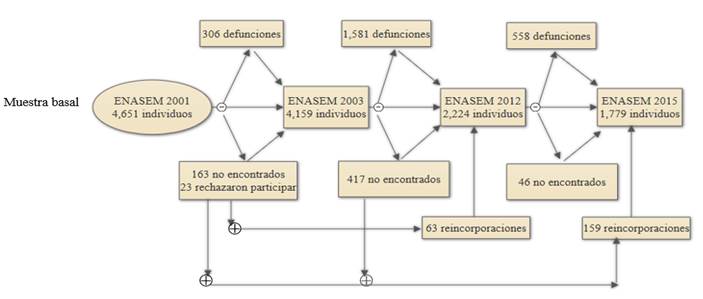 Diagrama del tamaño y seguimiento de la muestra de adultos mayores, ENASEM 2001-2015