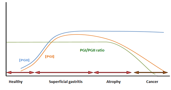 Serum pepsinogen levels during gastric carcinogenesis.