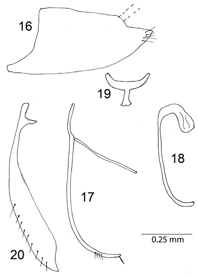 F016-020.psd