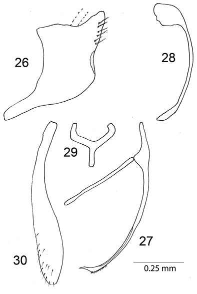 F026-030.psd