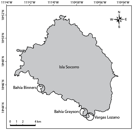 3517.png