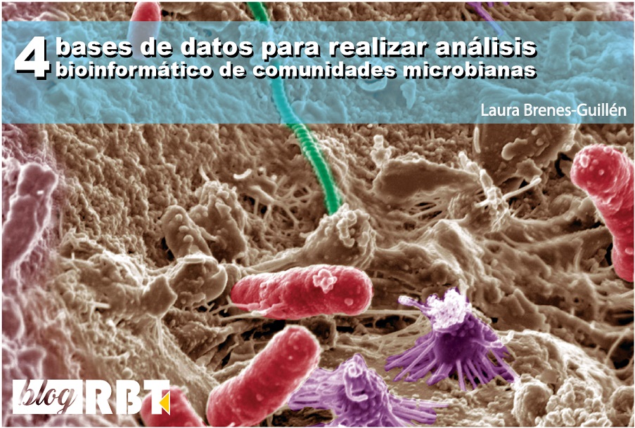 Microbios del suelo. Imagen: Courtesy of Pacific Northwest National Laboratory (CC BY-NC-SA 2.0)