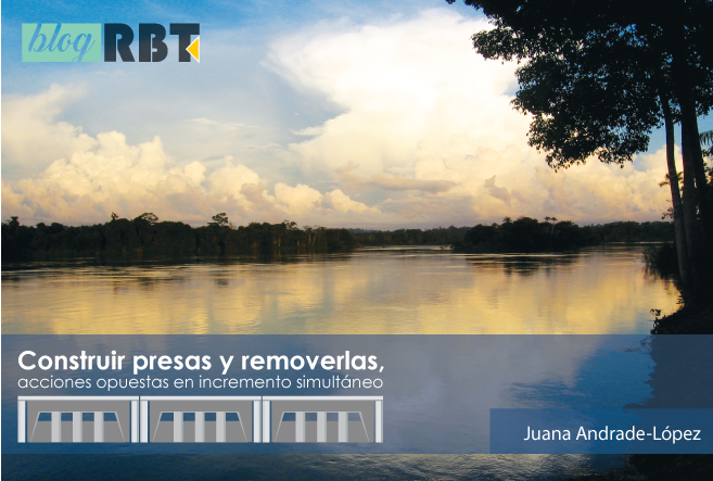 Río Xingú, Brasil. Fotografía por Aviva Imhof/International Rivers (CC BY-NC-SA 2.0)