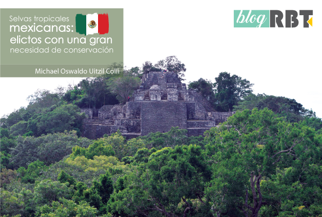Reserva de la Biosfera de Calakmul, México. Fotografía por Marcos Quiroz