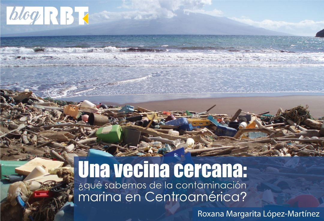 Playa cargada de desechos plásticos marinos en Hawái. Fotografía de NOAA Marine Debris Program (CC BY 2.0)