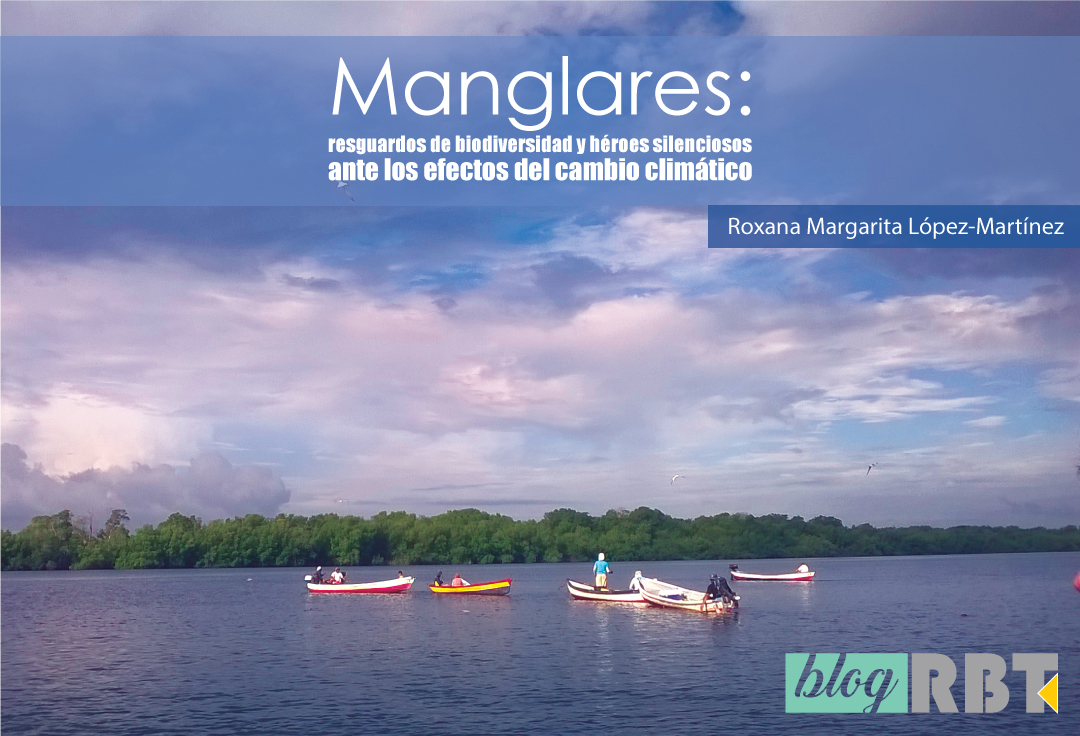 Pesca en manglares, Bahía de Jiquilisco, El Salvador. Fotografía de Wilfredo Antonio López