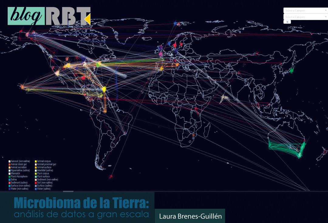 Captura de pantalla de “Cartografías Microbianas”, visualización del sitio web del proyecto Microbioma de la Tierra (earthmicrobiome.org)