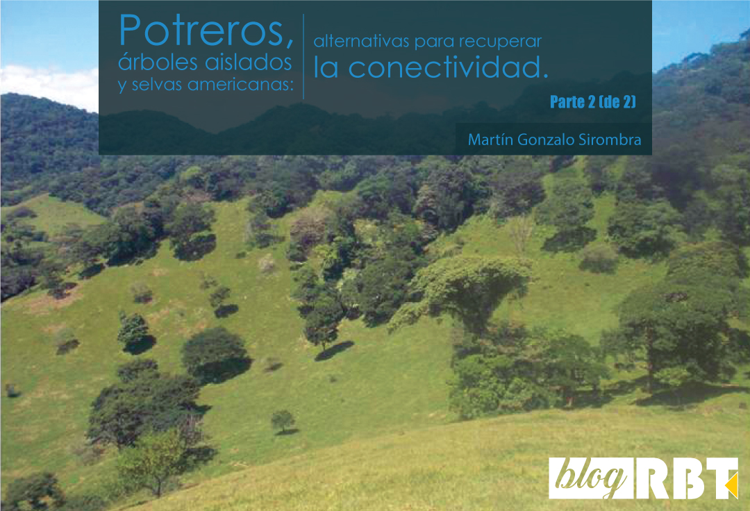 Paisaje de un área de potrero en Los Tuxtlas, México. Fotografía de Martín Gonzalo Sirombra