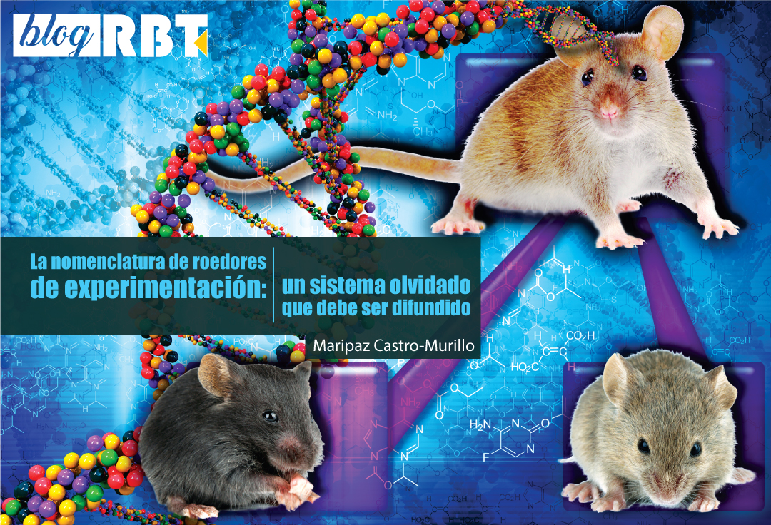 Ilustración de expresión génica en ratones. Crédito: Ernesto del Aguila III, National Human Genome Research Institute (CC BY 2.0)