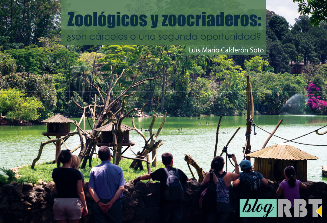 Visitantes en el Parque Zoológico de São Paulo, Brasil. Fotografía de Deni Williams (CC BY 2.0)