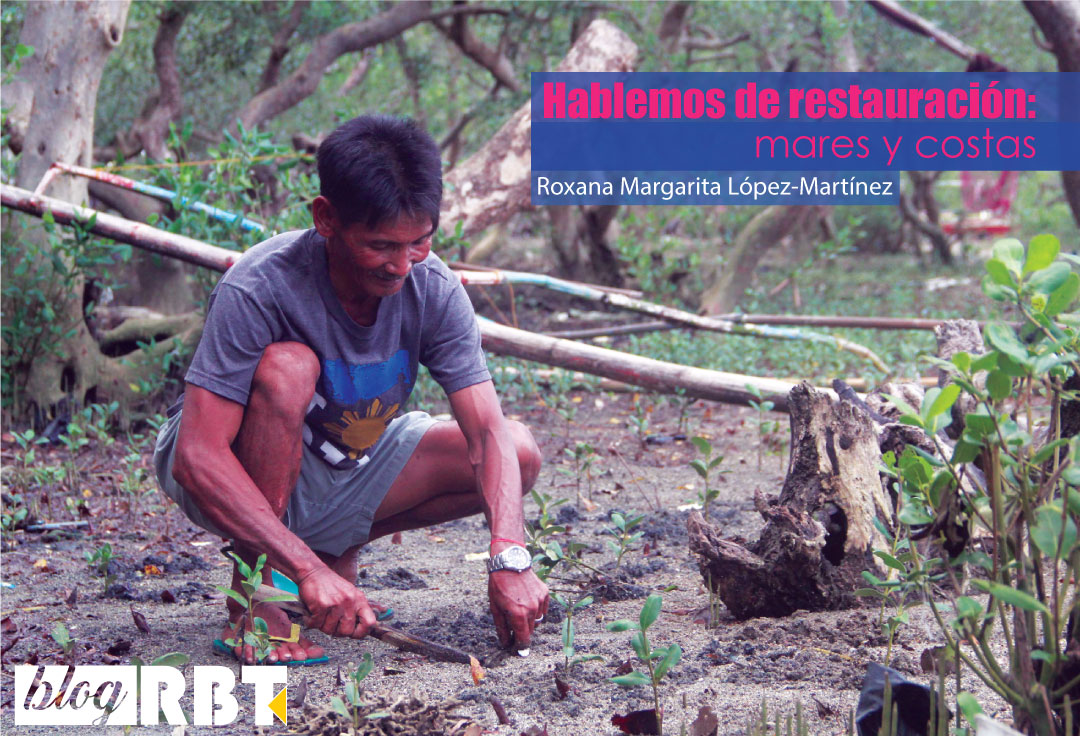 Efren Nojor, un pescador de Guinayangan, colabora con la restauración del manglar en las Filipinas. Fuente: CCAFS/Amy Cruz (CC BY-NC-SA 2.0)