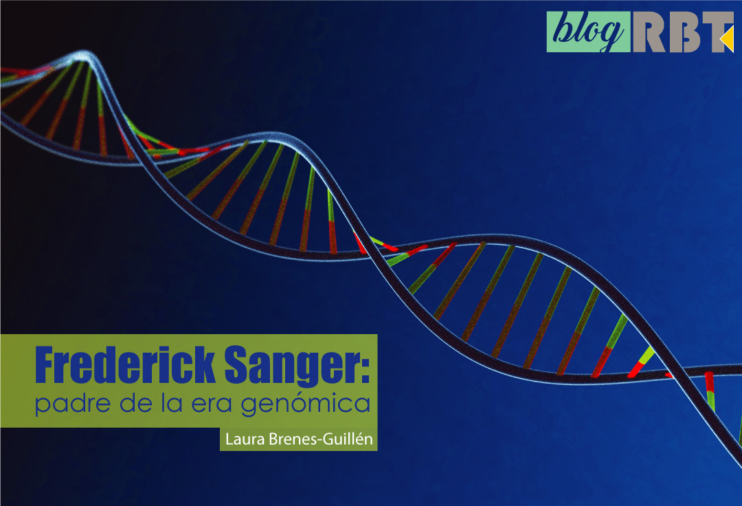 Ilustración de estructura del ADN. Fuente: Thor Deichmann (Pixabay)